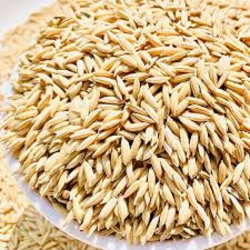 Hybrid Paddy Seeds