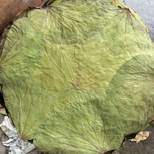Natural Siali Leaf Round Plate