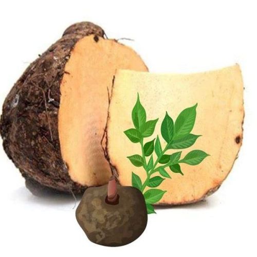 Fresh Elephant Yam
