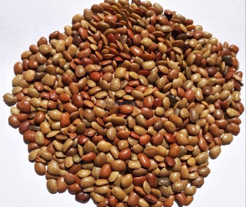 Natural Horse Gram
