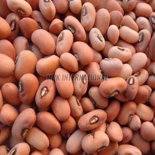 Red Karamani Seed