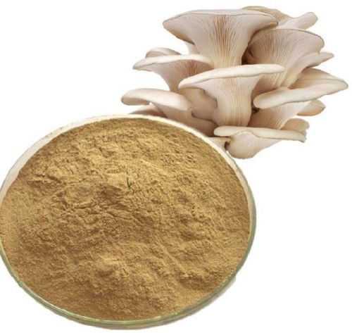 Oyster Mushroom Powder