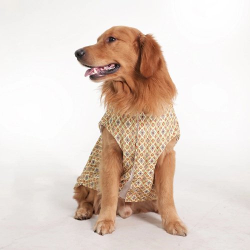 Heritage Print Ethnic Dog Kurta