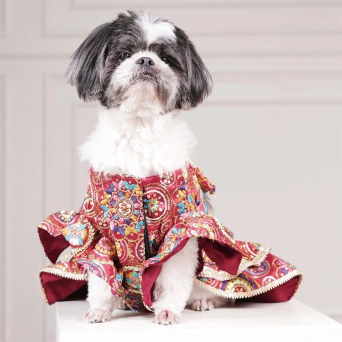 Luxury Embroidered Dog Lehenga