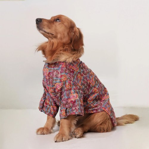 Rangmahal Printed Ethnic Dog Kurta