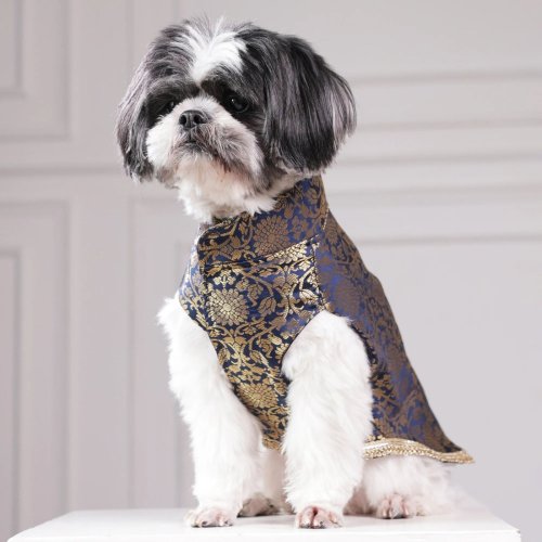 Royal Brocade Dog Kurta
