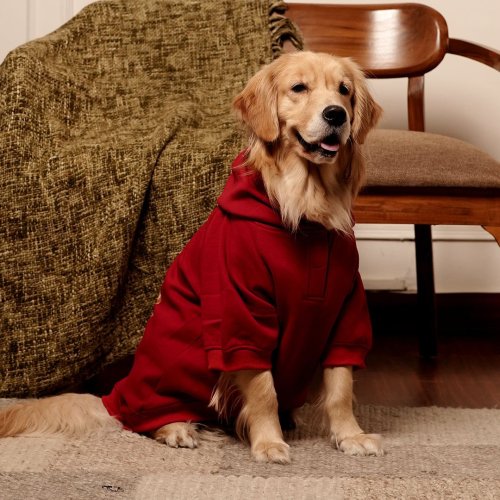 Rudolph Red Dog Hoodie