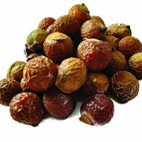 Dried Reetha Nut Dried Reetha Nut