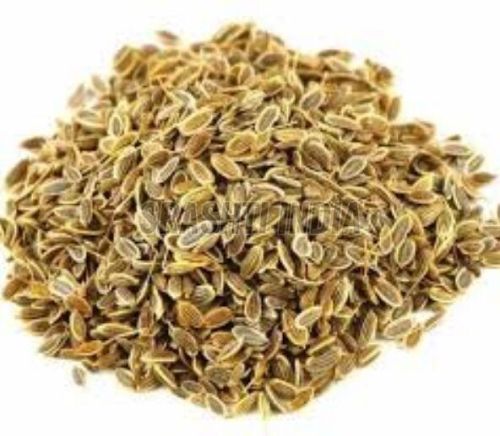 Dill Spice Seeds