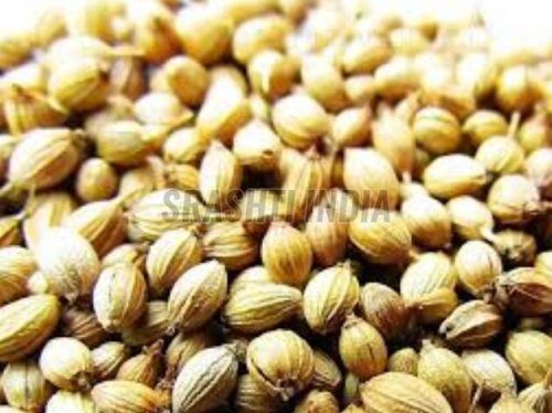 Natural Coriander Seeds
