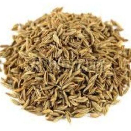 Singapore 99 Cumin Seed