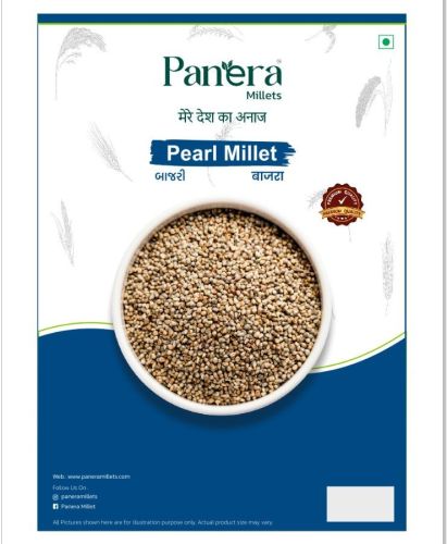 Pearl Millet
