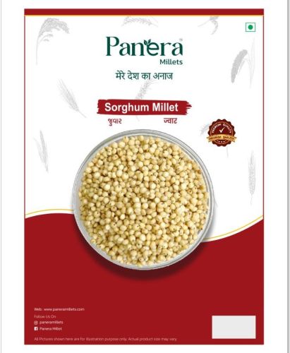 Sorghum Millet