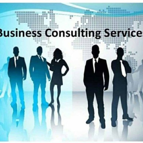 Business Consulting Service