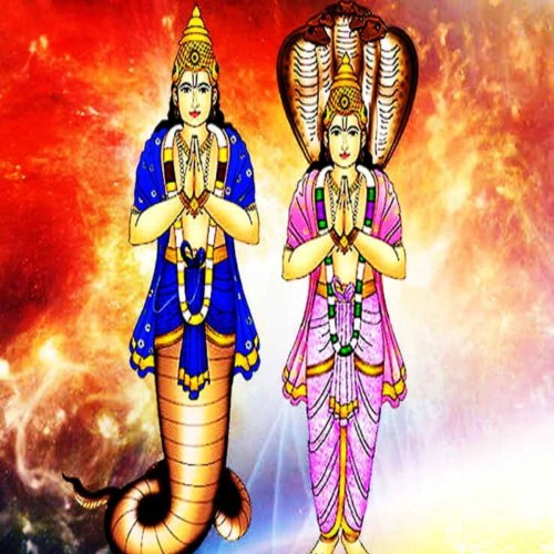 Seivinai Eval Pilli Sunyam Removal Pooja Homam