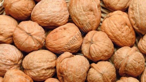 Whole Walnuts