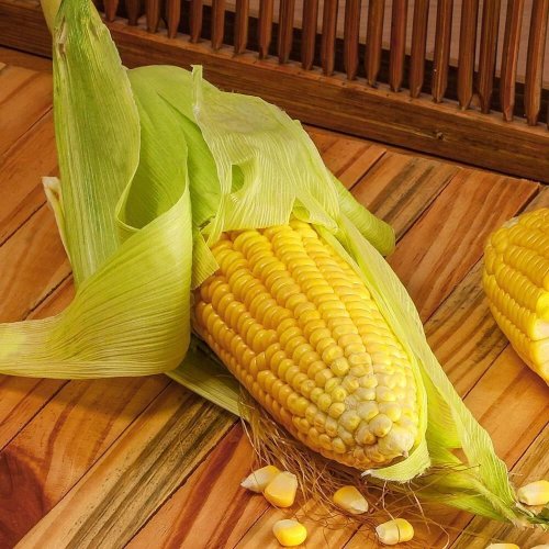 Fresh A Grade Sweet Corn