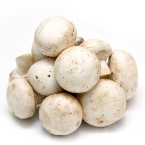 White Button Mushrooms
