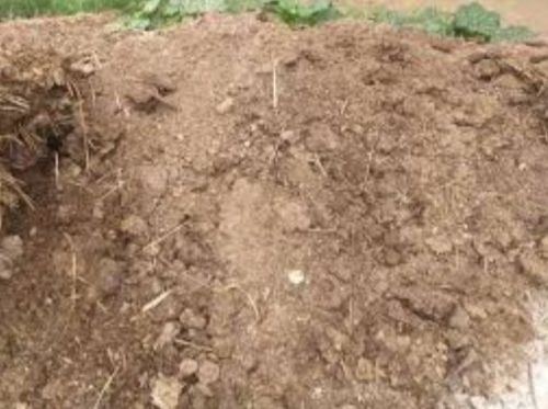 Agricultural Organic Fertilizer Cow Dung