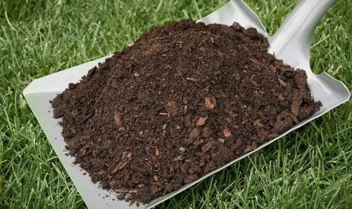 Natural Soil Enrichment Cow Dung