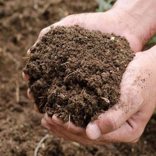 Dry Cow Dung Manure