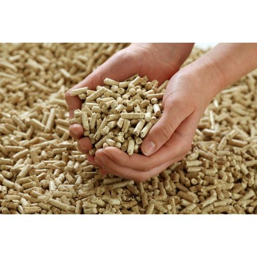 Biomass Wood Pellets