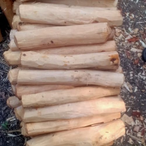 Natural White Sandalwood Logs