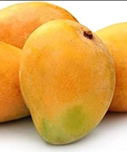 Fresh Mango