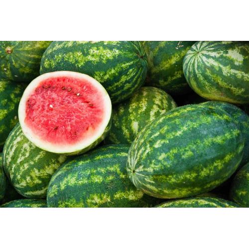 Natural Fresh Water Melon