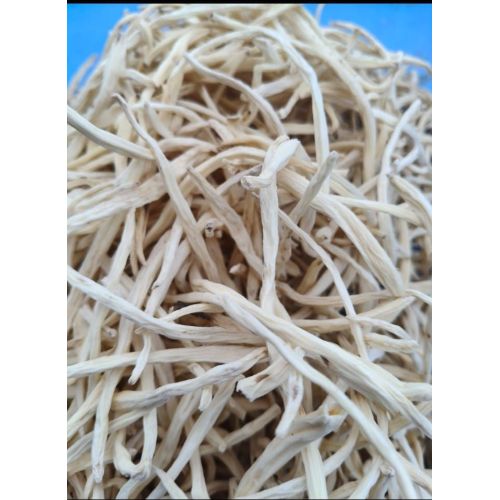 White Natural Safed Musli Root