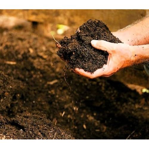 Organic Vermicompost Fertilizer