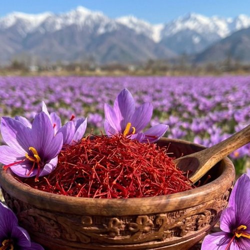 Natural Kashmiri Saffron