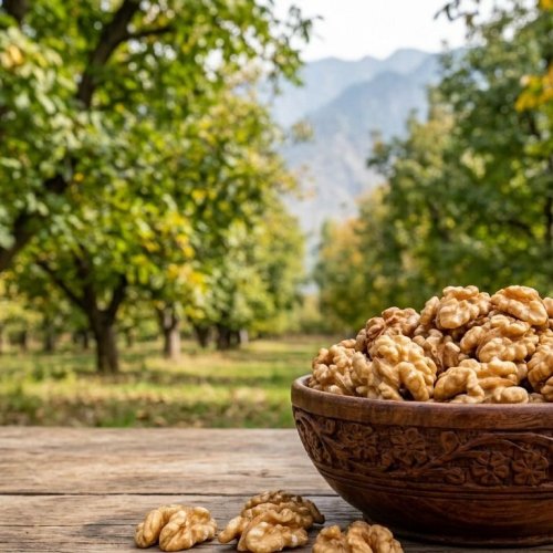 Whole Dry Walnut Kernels