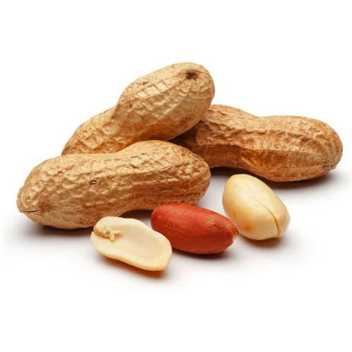 A Grade Raw Ground Nuts