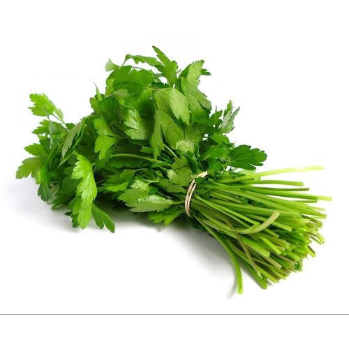 Fresh Coriander Leaves