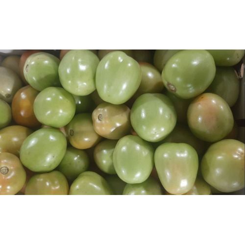 Fresh Green Tomato