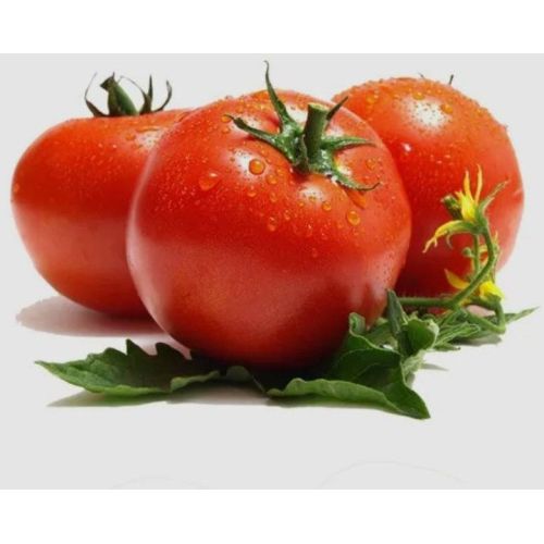 Fresh Tomato