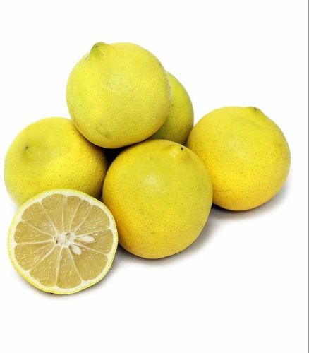 A Grade Yellow Sweet Lemon