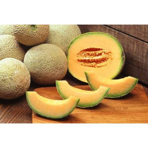 A Grade Fresh Muskmelon