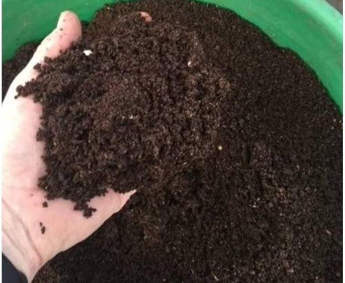 Natural Cow Dung Powder
