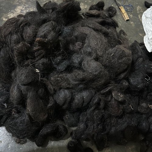 Black Goli Human Hair