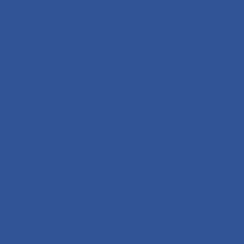 S5R Acid Blue 113 Navy Dye