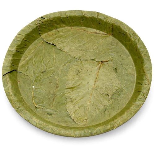 Sal Leaf Plates 100 % Natural