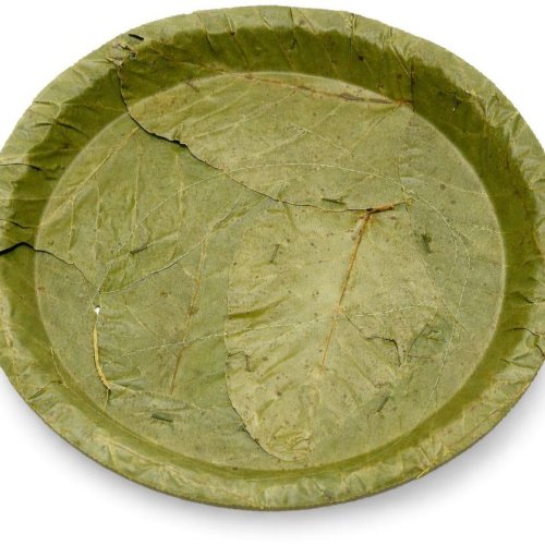 12 Inch Sal Leaf Plate