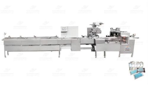Automatic Horizontal Flow Wrapping Machine