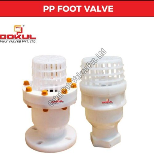 Polypropylene Foot Valve