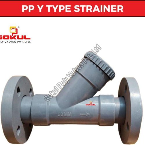 PP Y Type Strainer Flange End
