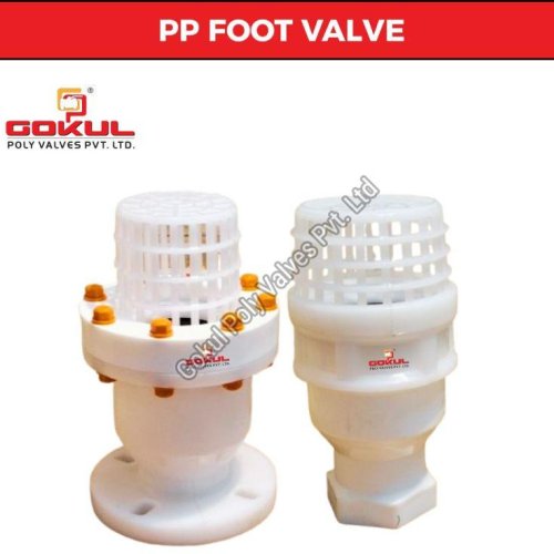 Screwed End PP Foot Valve