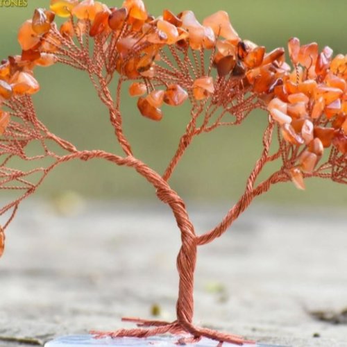 Carnelian Gemstone Tree with Square Base