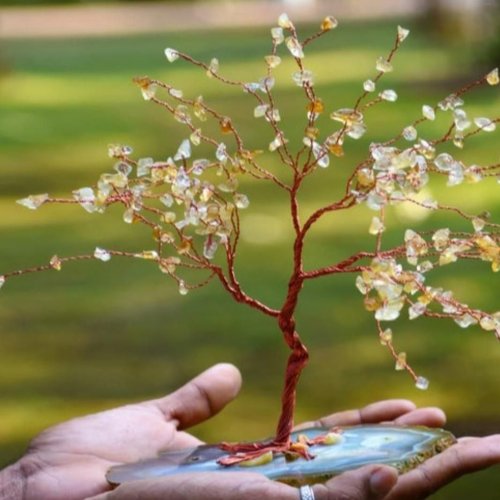 Natural Citrine Crystal Tree with Chalcedony Base
